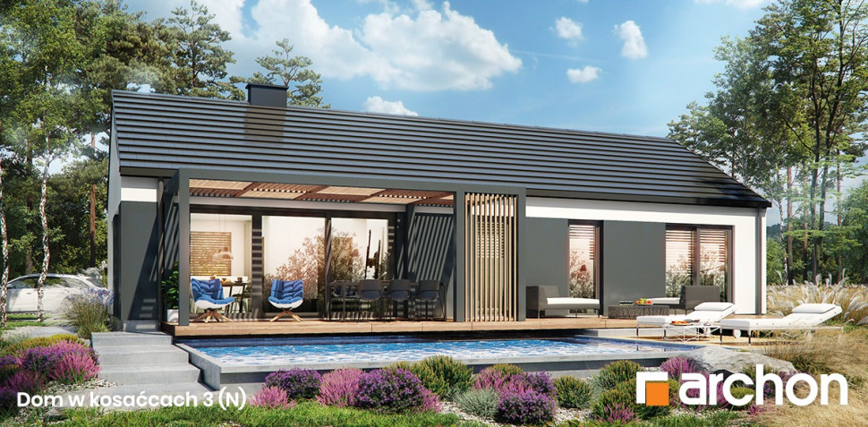 Dom w kosaćcach 3 N