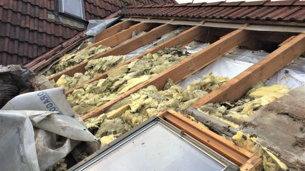 Izolacja z wełny zniszczona przez kuny.