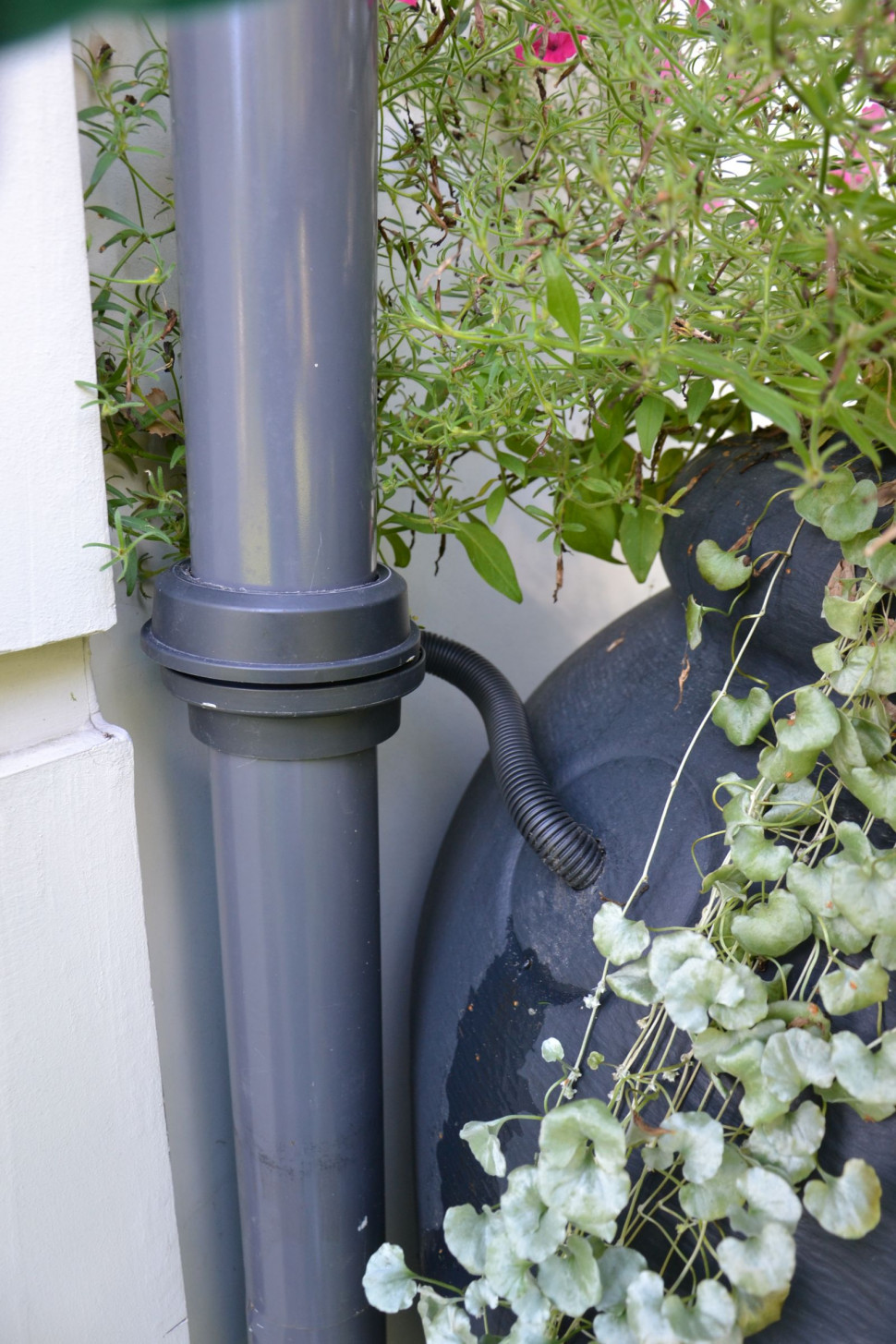 Naziemny zbiornik na deszczówkę podłączony do rur spustowych przy budynku