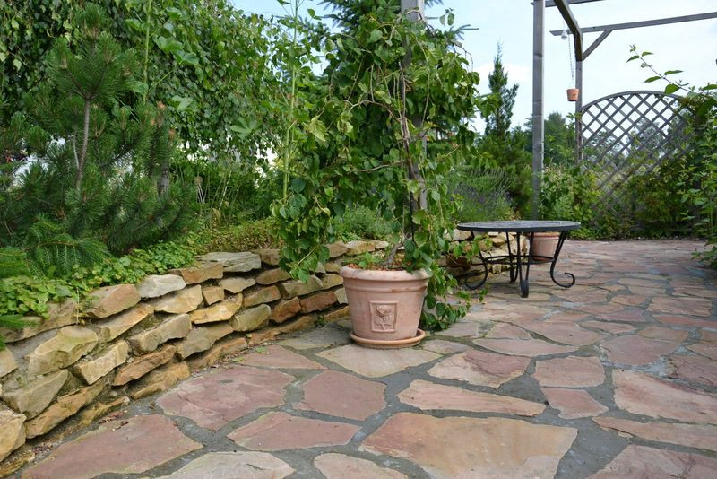 Pergola w głębi ogrodu ma nawierzchnię z łupanych płyt naturalnego piaskowca, łączonych na fugę z zaprawy cementowej