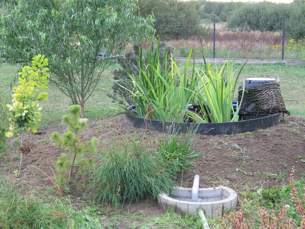 Na pierwszym planie betonowy element rozsączenia