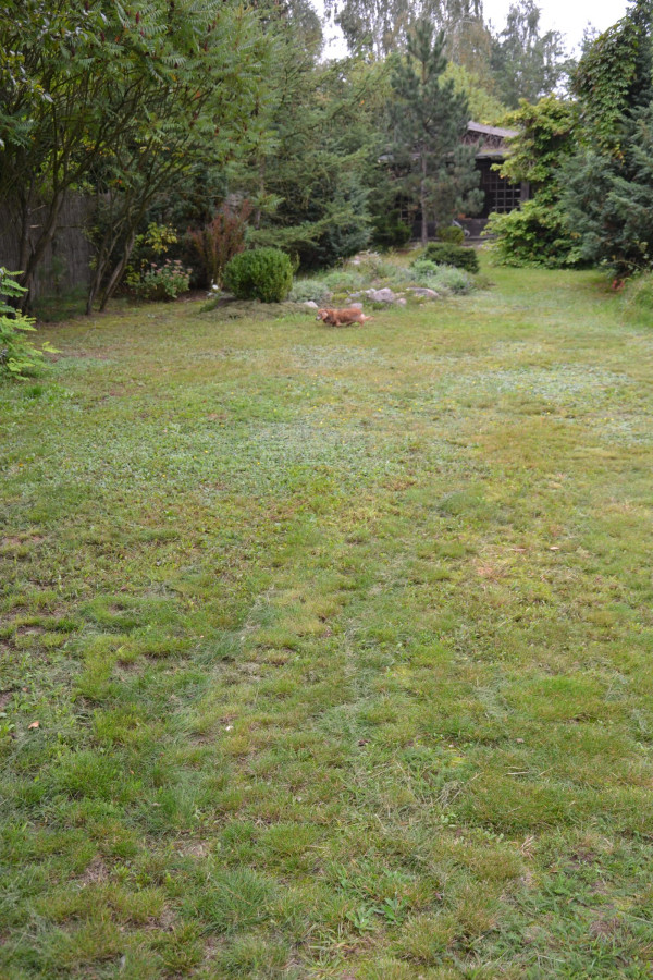 Na pochyłym terenie rozciąga się poletko filtrujące z drenami