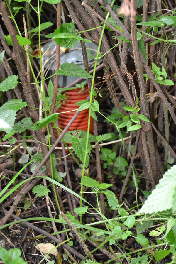 Dwie rury drenujące zakończono kominkami napowietrzającymi