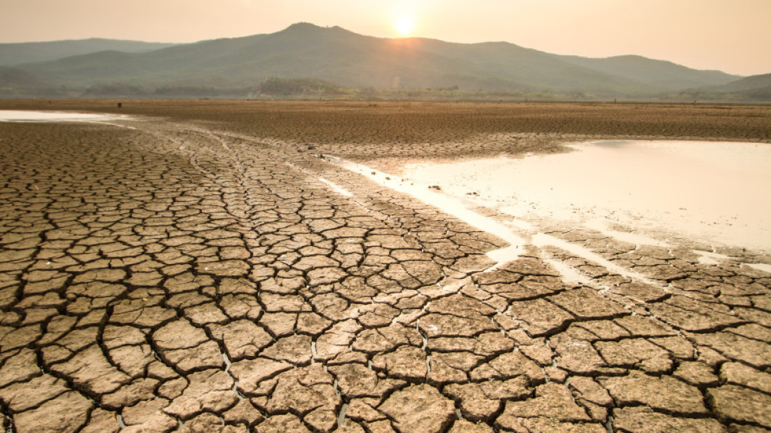 Budynki pasywne remedium na kryzys klimatyczny