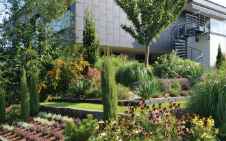 Ogród tarasowy z trawami ozdobnymi