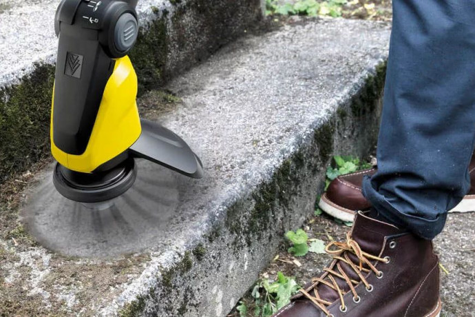 Jak usunąć mech z trawnika i kostki brukowej? Skuteczne sposoby