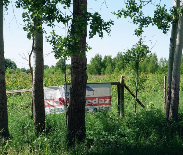 Działka na sprzedaż