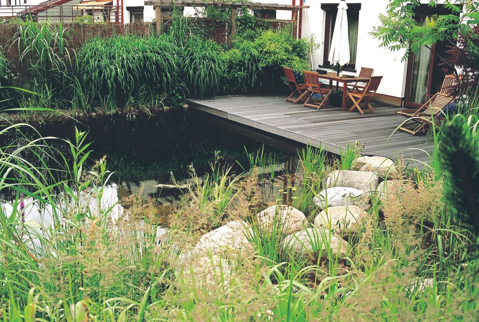 Przydomowy staw kąpielowy