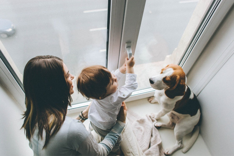 Szkło hartowane lub laminowane pełni rolę ochronną i zapewnia bezpieczeństwo