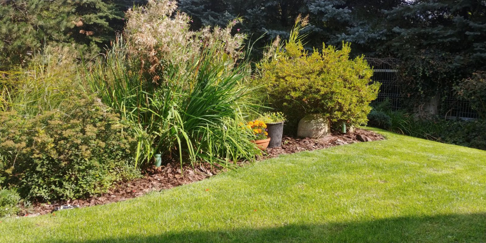 Zdjęcie przedstawiające zielony zraszacz GREEN SHOWER, który nawadnia rośliny ozdobne