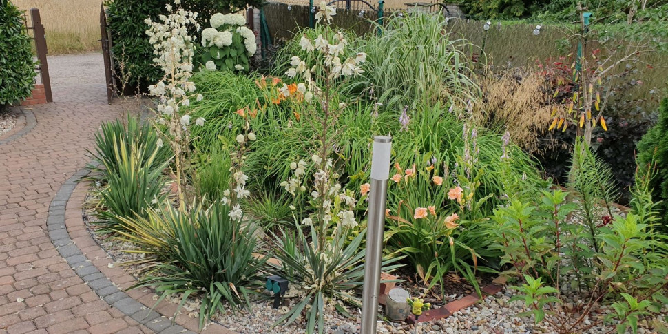 Przykłady poletek roślinnych nawadnianych wodą po oczyszczalni HABA