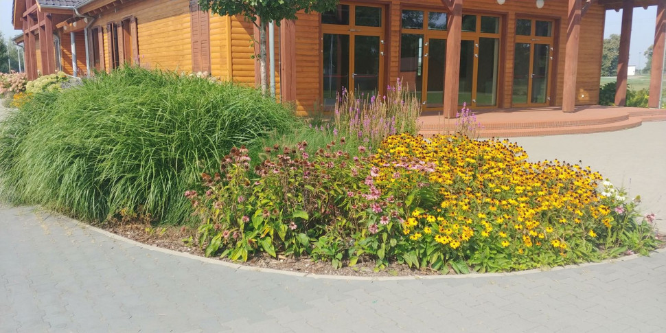 Przykłady poletek roślinnych nawadnianych wodą po oczyszczalni HABA