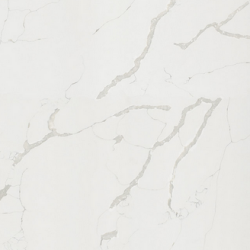 Wodoodporna płyta ścienna Statuario R101 PT