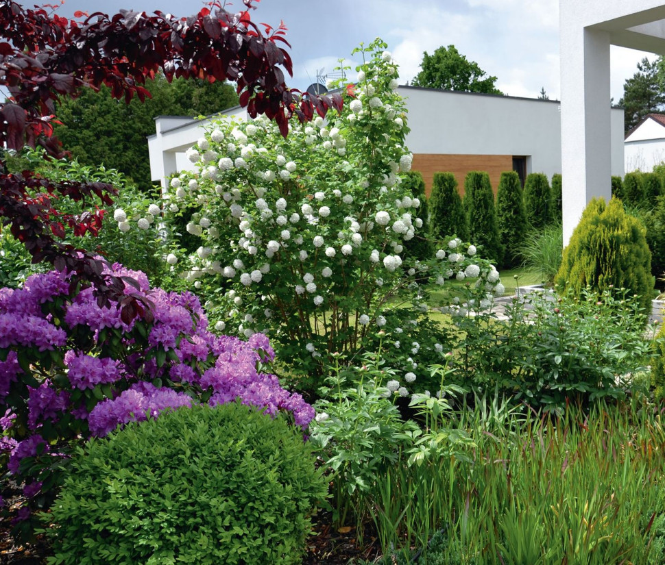 W zestawie roślin wykorzystano krzewy kwitnące (np. różaneczniki, kalinę koralową) oraz zimozielone (m.in. cyprysiki), ponadto długowieczne byliny (m.in. piwonie) i trawy ozdobne
