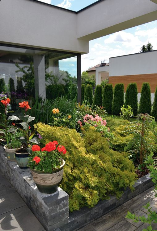 Grupa kolorowej roślinności przy tarasie