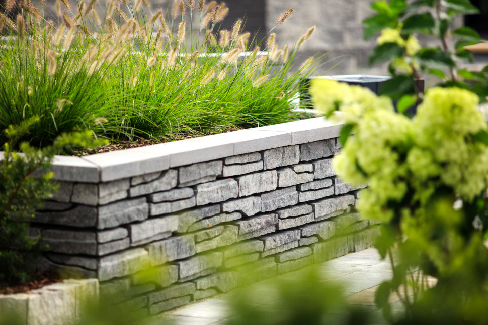 Murek Polbruk Albero