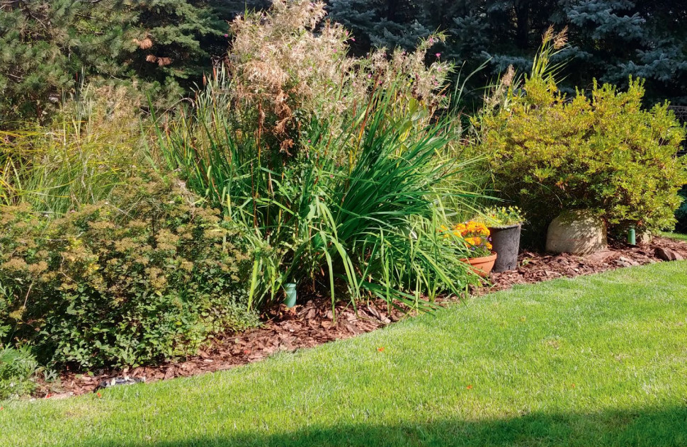 Na zdjęciu widoczny jest zraszacz oczyszczalni, który nawadnia rośliny