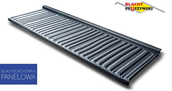 Panele dachowe jednomodułowe REGLE