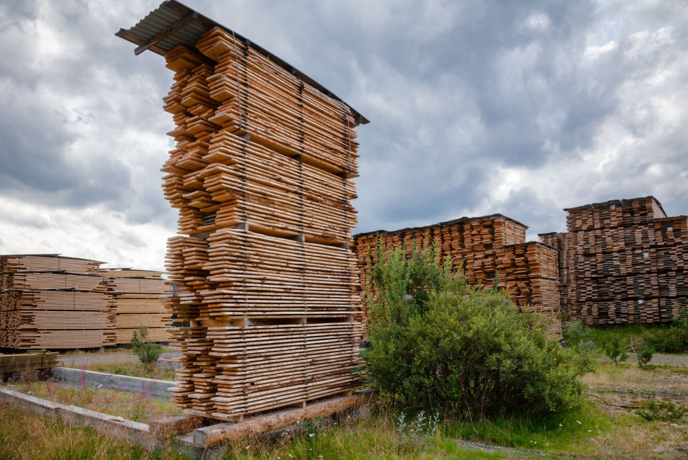 Mokra tarcica, czyli drewno sezonowane na wolnym powietrzu
