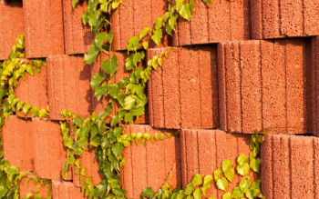 Gazony Flora Księżyc w ofercie Bruk-Bet