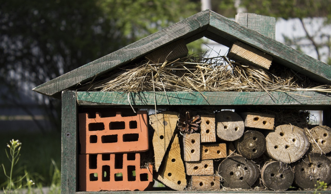 Jak zrobić domek dla owadów?