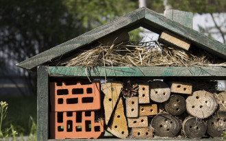 Jak zrobić domek dla owadów?