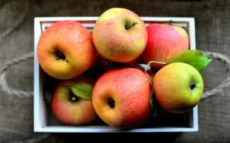 Jak przechowywać jabłka w warunkach domowych?