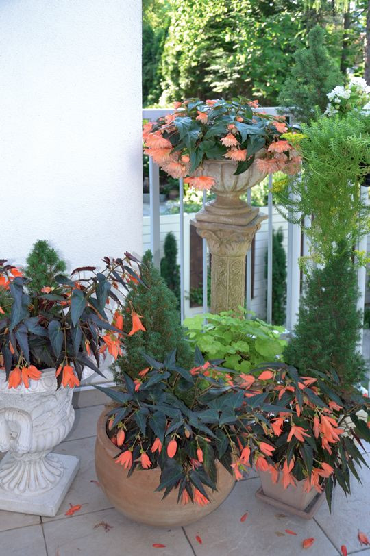 Kwietne kompozycje na balkonie