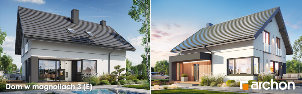 Projekt Dom w magnoliach 3 (E) - wizualizacja