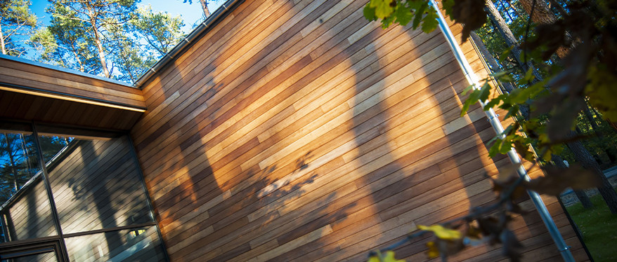 Drewno meranti to świetny wybór na elewację