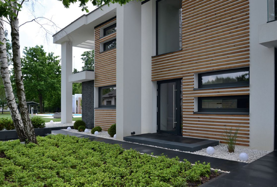 Zimozielona runianka japońska (Pachysandra terminalis)