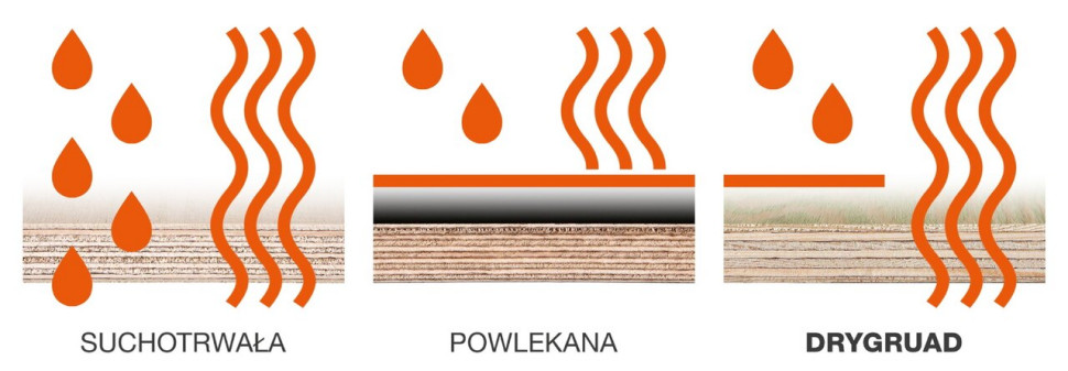 DryGuard - innowacyjna sklejka iglasta z powłoką ochronną ograniczającą przepuszczalność wody