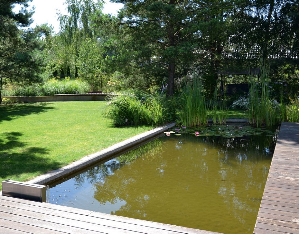 Oczko wodne z małą kaskadą ze stali