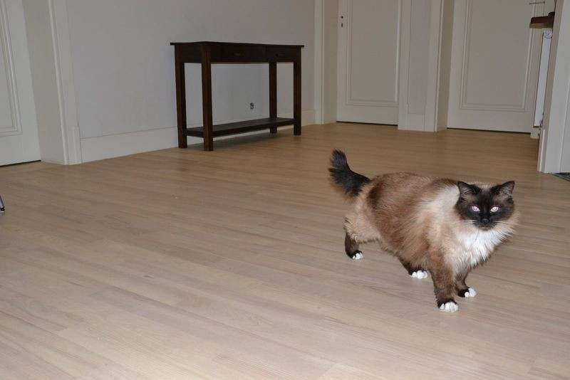 Posadzki na poddaszu z naturalnego jesionu zabarwionego na biało