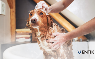 Jak wybrać odpowiedni wentylator?