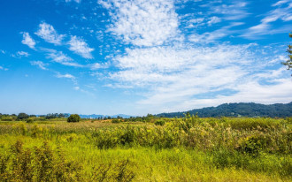 Gdzie się dowiedzieć, czy można budować na danej działce?
