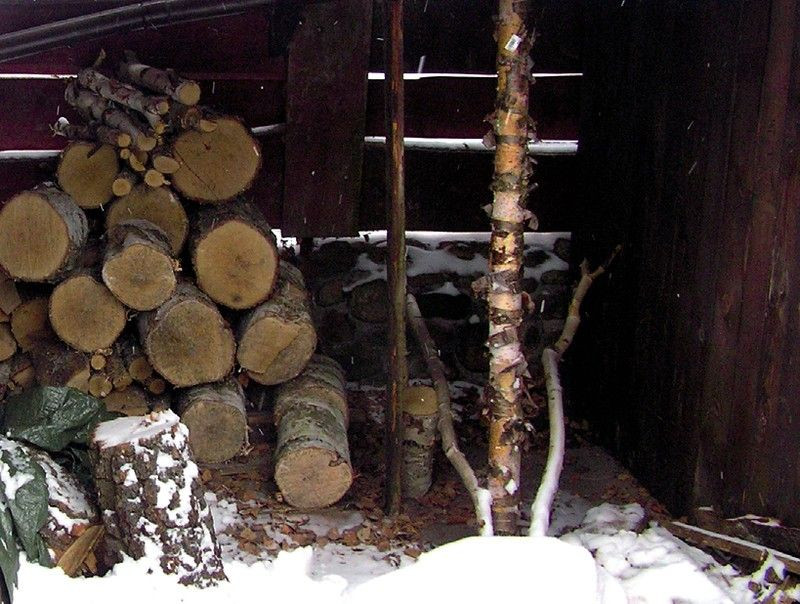 Przywiezione z Mazur drewno przechowujemy w drewutni