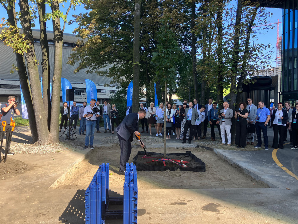 Sadzenie symbolicznego drzewa w Katowicach