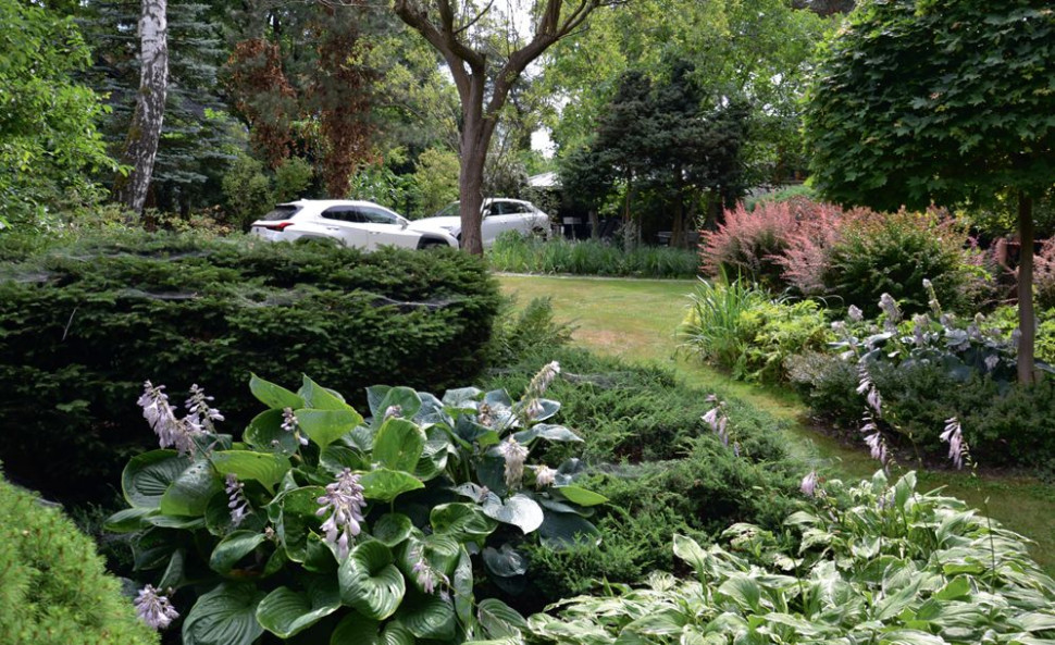 Strefa reprezentacyjna w ogrodzie