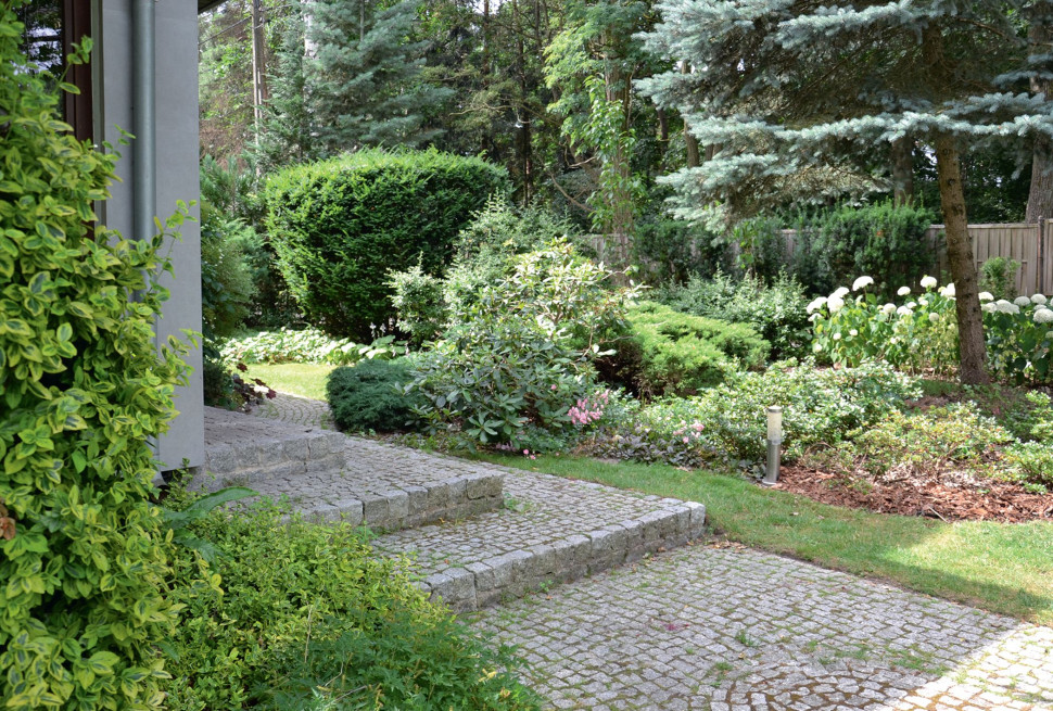 Przed głównym wejściem do domu, właścicielka skompletowała roślinność kwasolubną - iglaki, różaneczniki (w tym odmiany karłowe), hortensje. Ganek też wykończyła kostką granitową