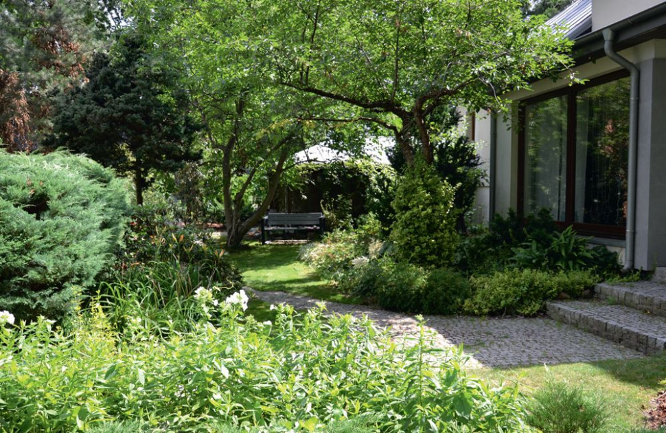 W cieniu drzew poprowadziła rabaty z trzmieliną Fortuna, paprociami, tawułkami, liliowcami, natomiast w miejscach nasłonecznionych - z floksami, płożącymi różami