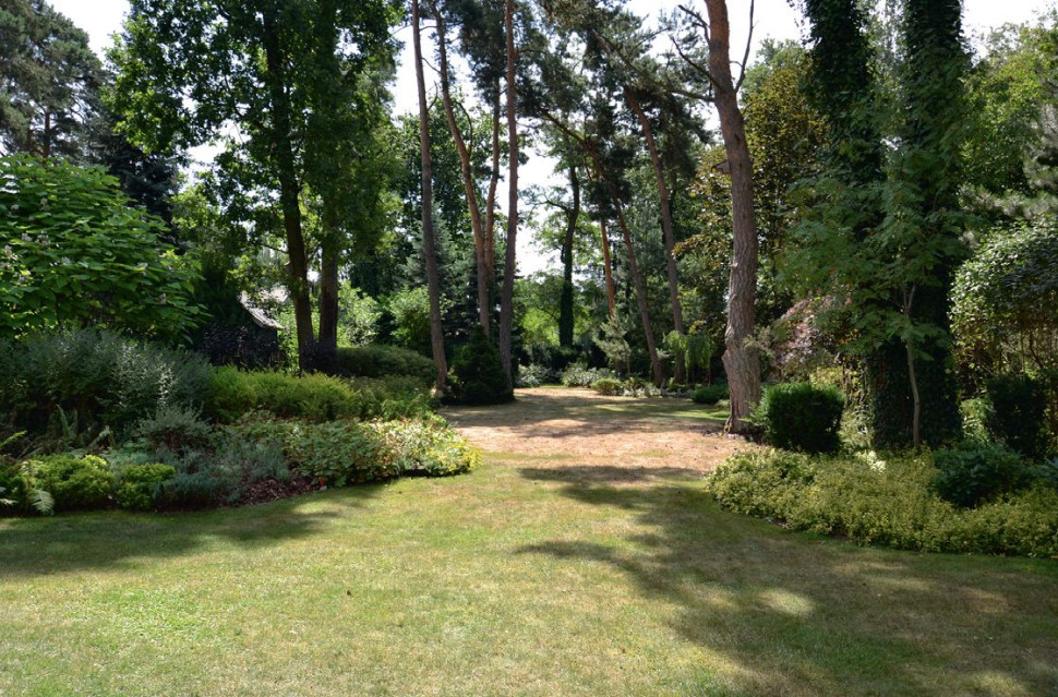 Utrzymanie zieloniutkiego trawnika w lesie sosnowym, bez automatycznego systemu nawadniania, nie jest możliwe