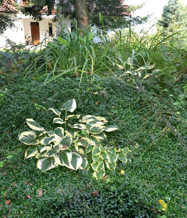 Główny reaktor, w formie walca o średnicy 2 m, obsypano ziemią, na jego zboczu - kaskada wodna.