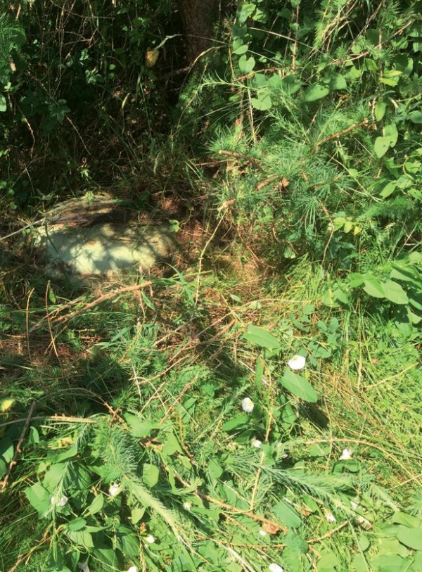 Raz w roku służba asenizacyjna unosi pokrywę, wyjmuje kosz filtracyjny, myje elementy i wnętrze osadnika gnilnego