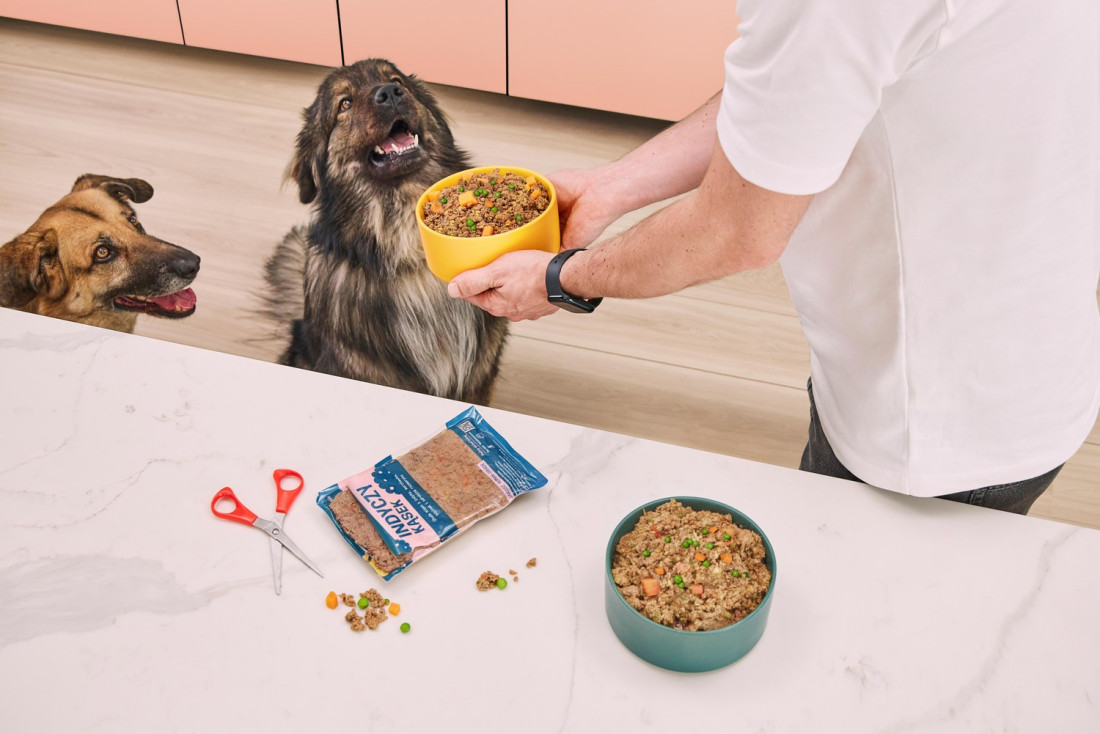 Czym karmić psa? Sprawdź, jak wybrać najlepszy sposób żywienia