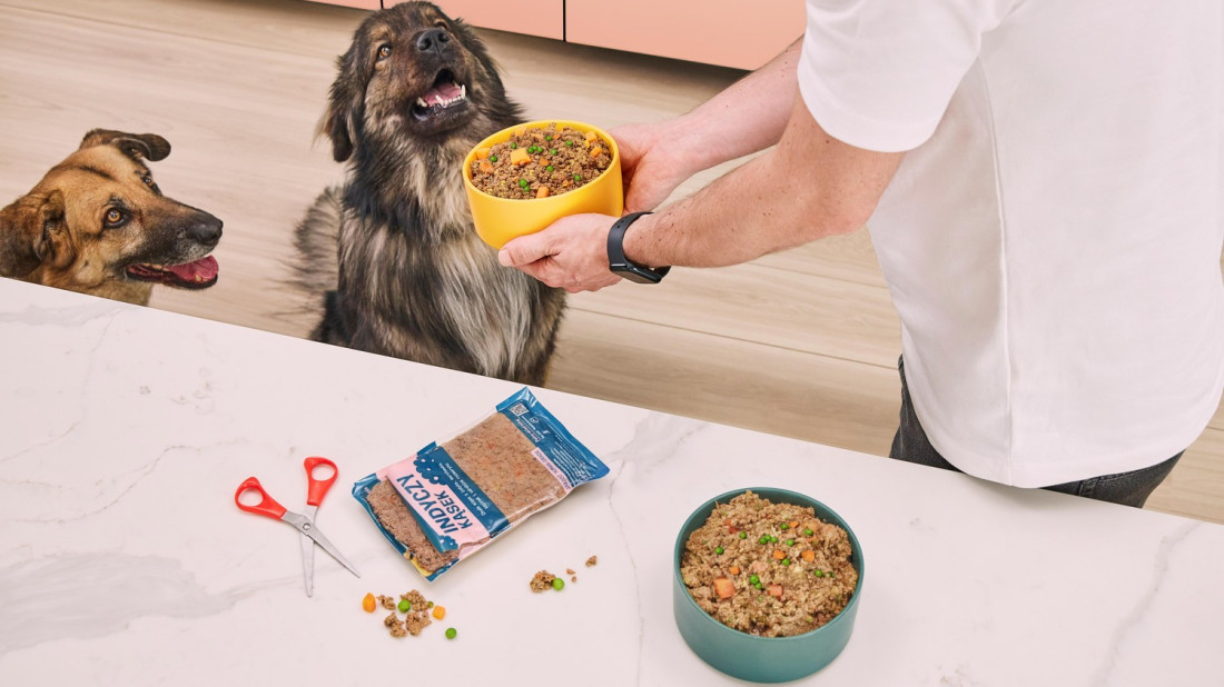 Czym karmić psa? Sprawdź, jak wybrać najlepszy sposób żywienia