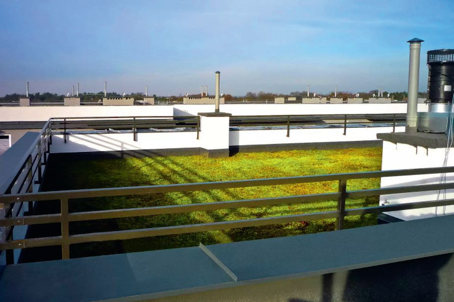 Na płaskim dachu można urządzić zielony ogródek