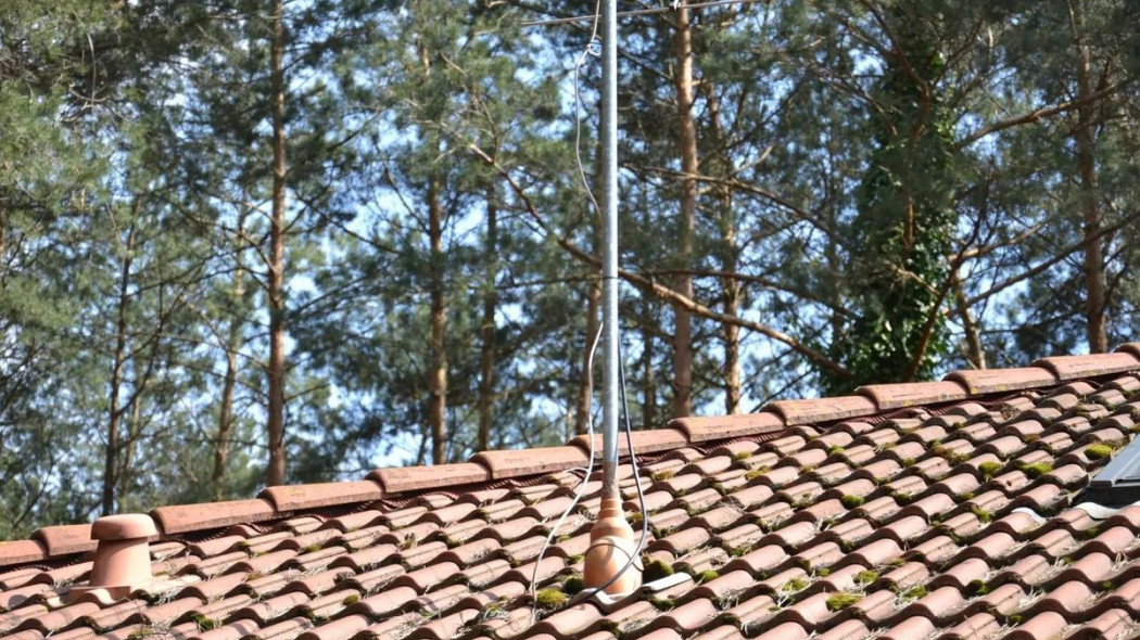 Co jest przyczyną pojawiania się nalotów biologicznych na dachach?