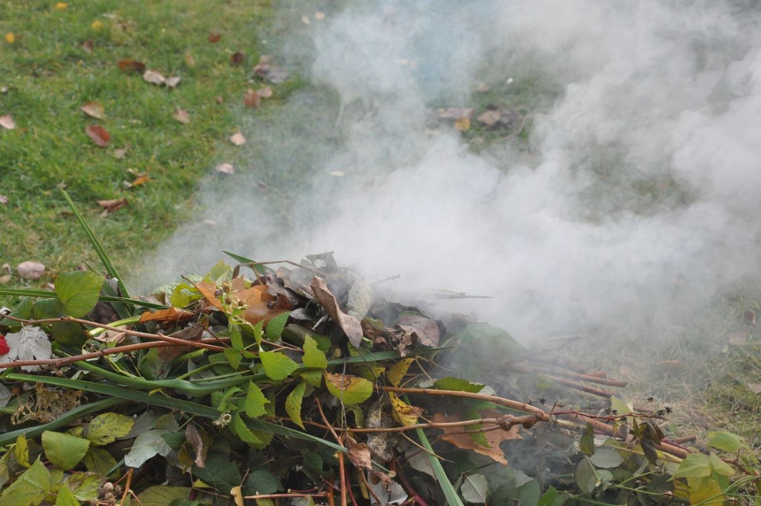 Palenie liści i gałęzi na działce jesienią 2023 r. Jakie są obowiązujące przepisy?