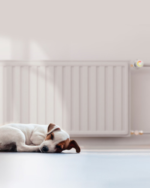 Dobra pompa uzyskuje w układzie z typowymi grzejnikami COP od 3 do 4. Jej automatyka powinna sama dostosowywać wówczas temperaturę wody do rzeczywistych potrzeb.